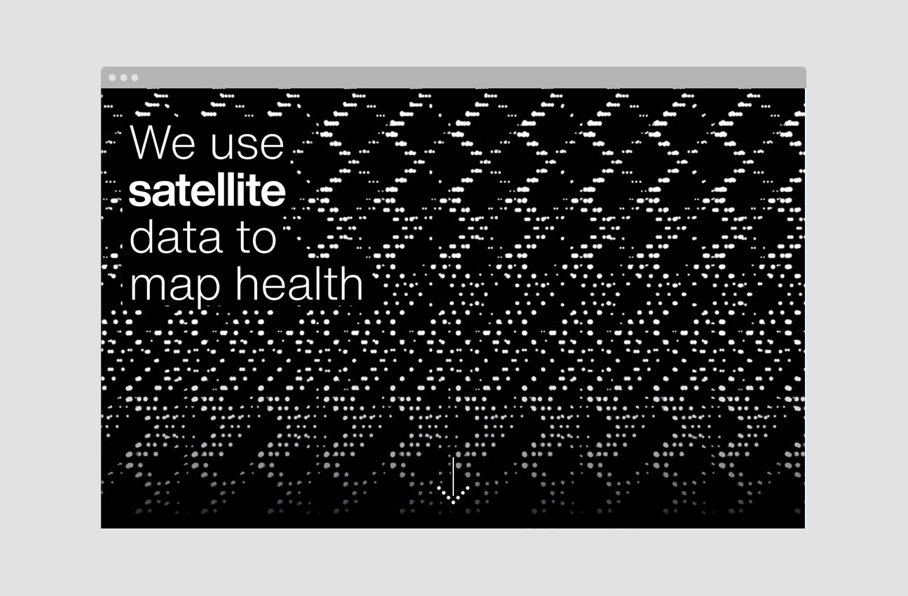 Harnessing AI and Data for Better Health